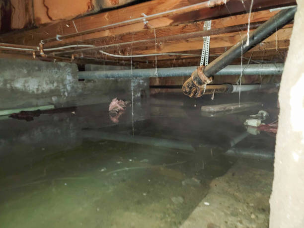 Best Flooded house restoration  in Mead, CO