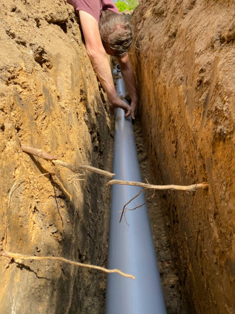 Best Flood damage cleanup  in Mead, CO