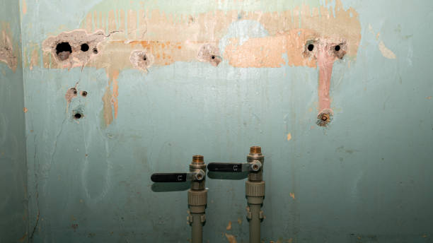Best Water damage cleanup near me  in Mead, CO