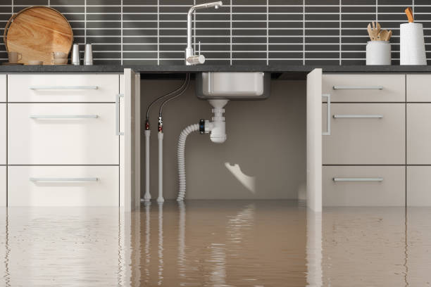 Best Flood restoration services  in Mead, CO