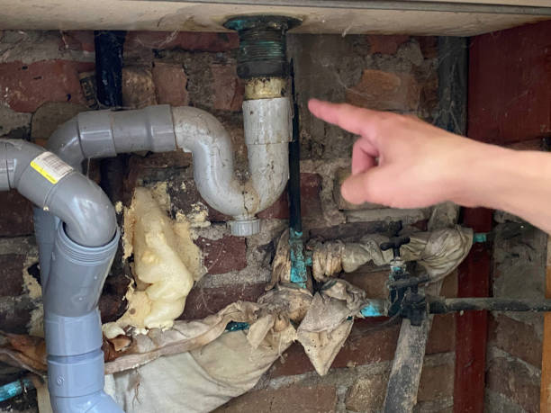 Best 24/7 water damage repair  in Mead, CO