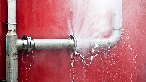 Best Flooded house restoration  in Mead, CO